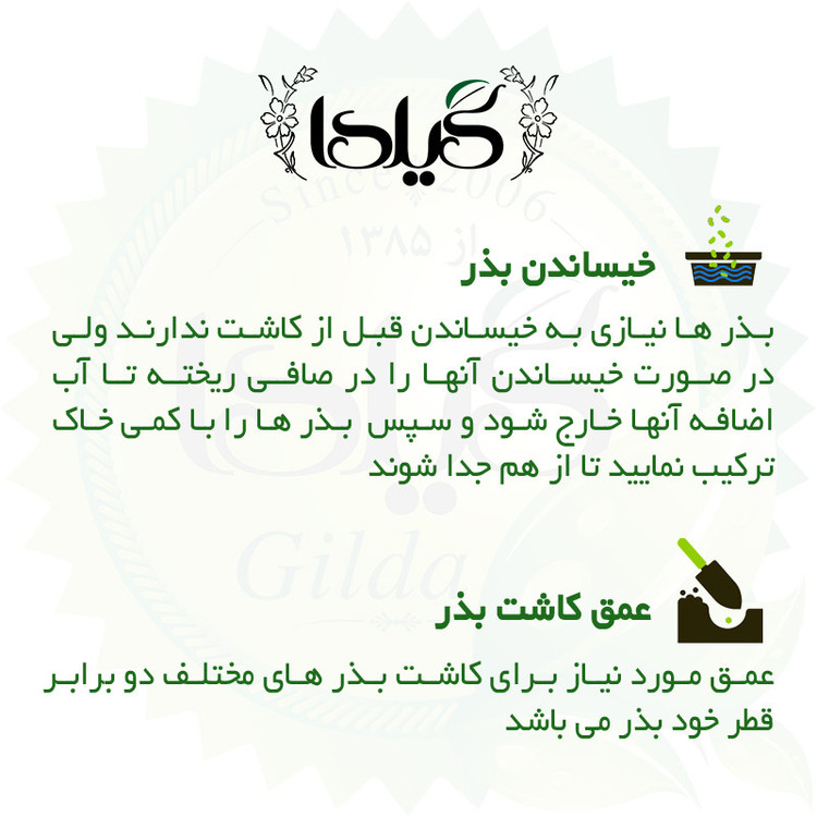 بذر شلغم گیلدا کد 740