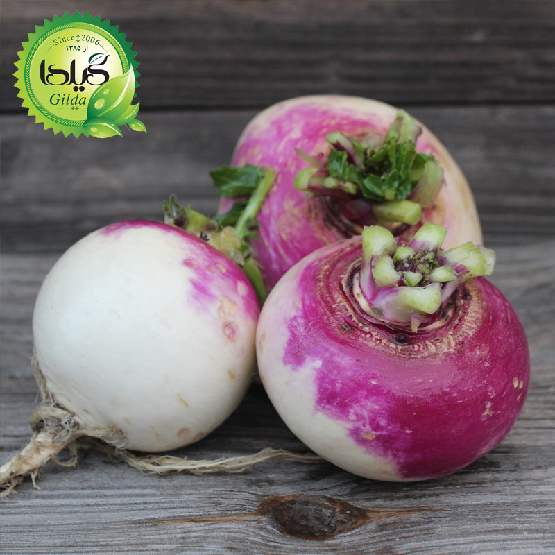 بذر شلغم گیلدا کد 740