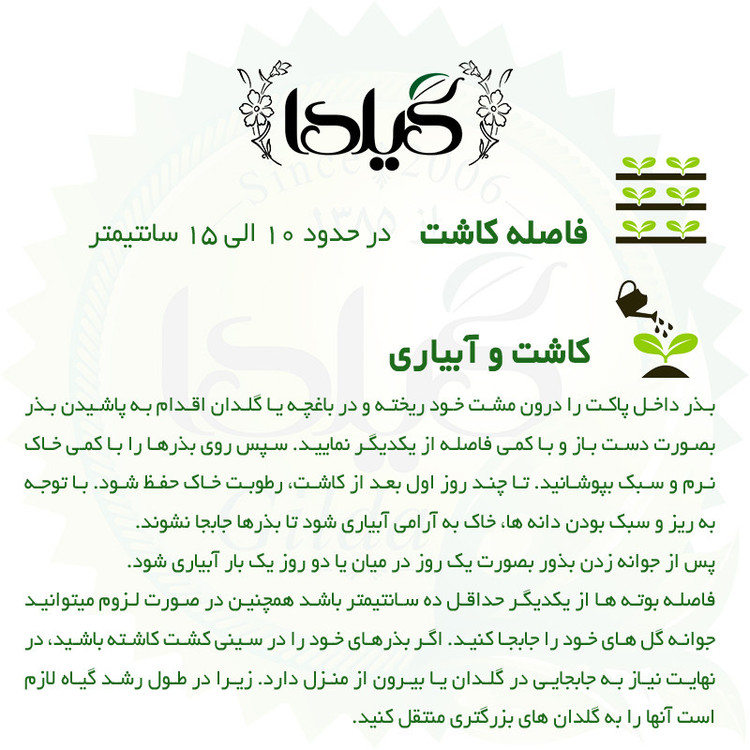 بذر آهار الوان گیلدا کد 907