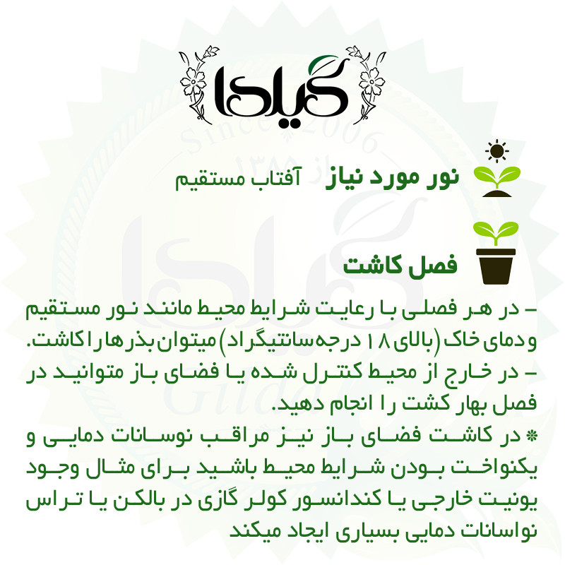 بذر کدو آجیلی مشهدی گیلدا کد 776