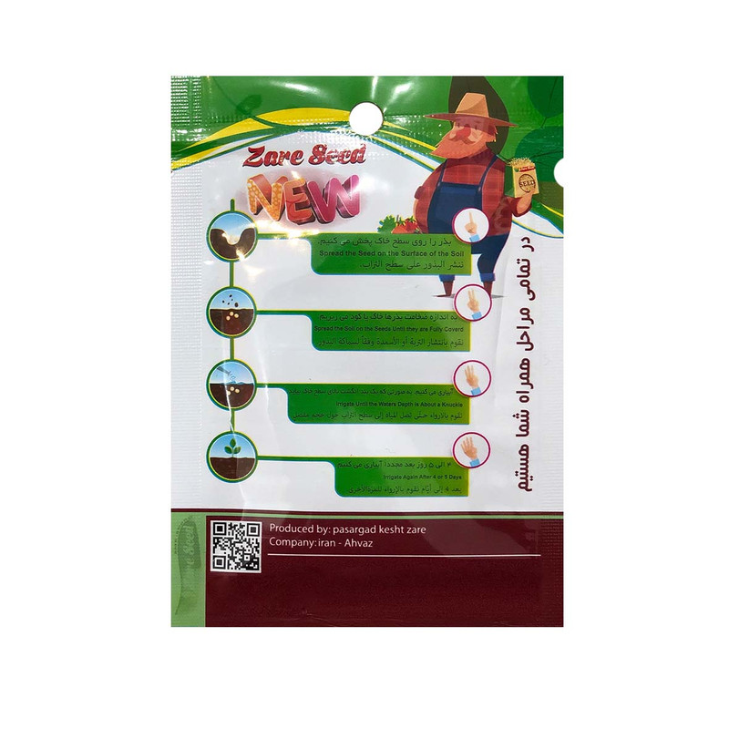 بذر کاسنی ( هندبه) پاسارگاد کشت زارع کد zs10