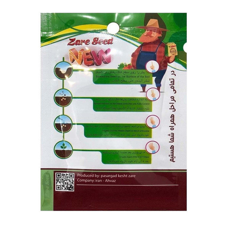 بذر گل ستاره ای پاسارگاد کشت زارع کد zs141