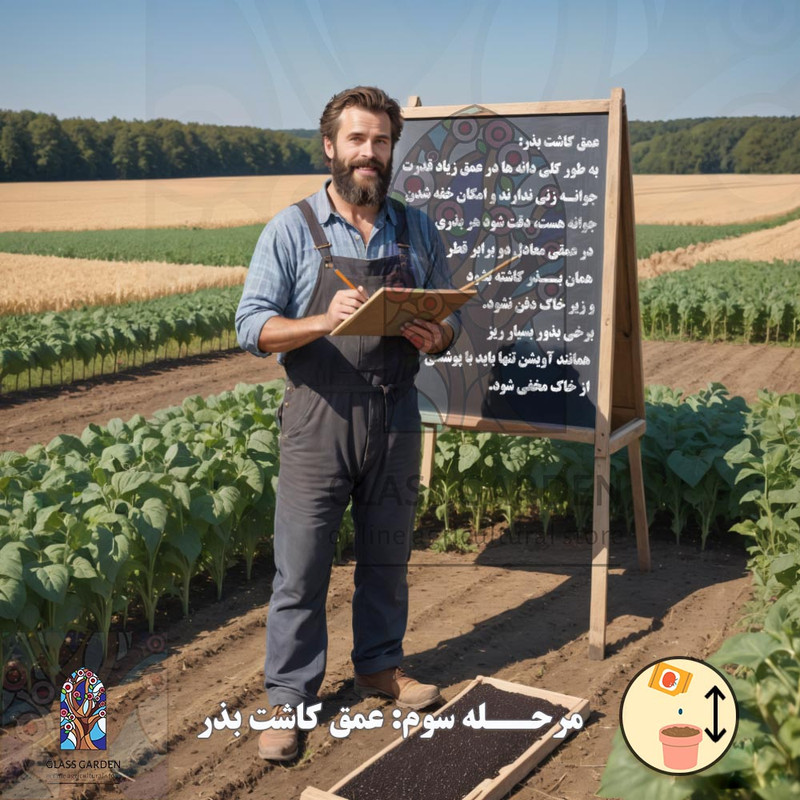 بذر فلفل گیلاسی چری گرد قرمز تند گلس گاردن مدل GL100