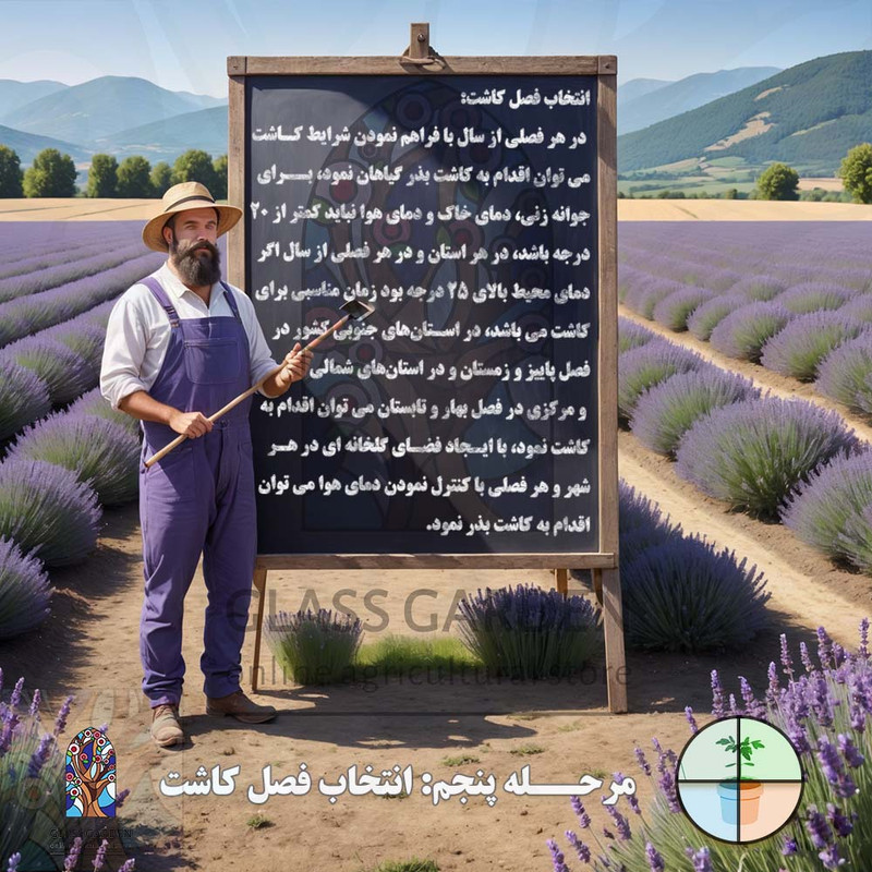 بذر فلفل گیلاسی چری گرد قرمز تند گلس گاردن مدل GL100