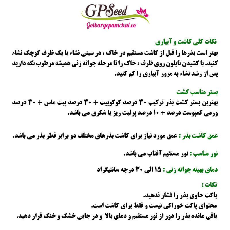 بذر گل کوکب بذری الوان جی پی سید مدل GP28138