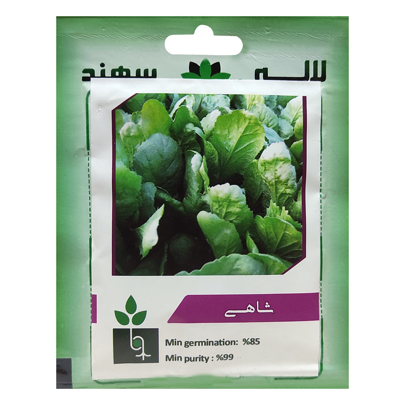 بذر شاهی لاله سهند کد LSP-053