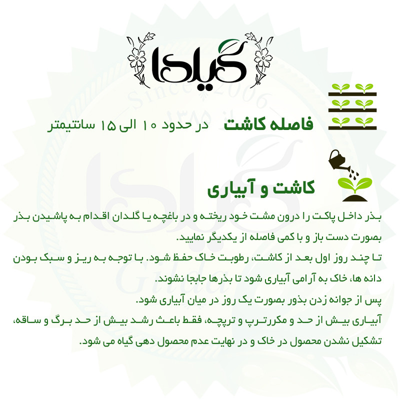 بذر ترپ سفید کشیده گیلدا کد 212