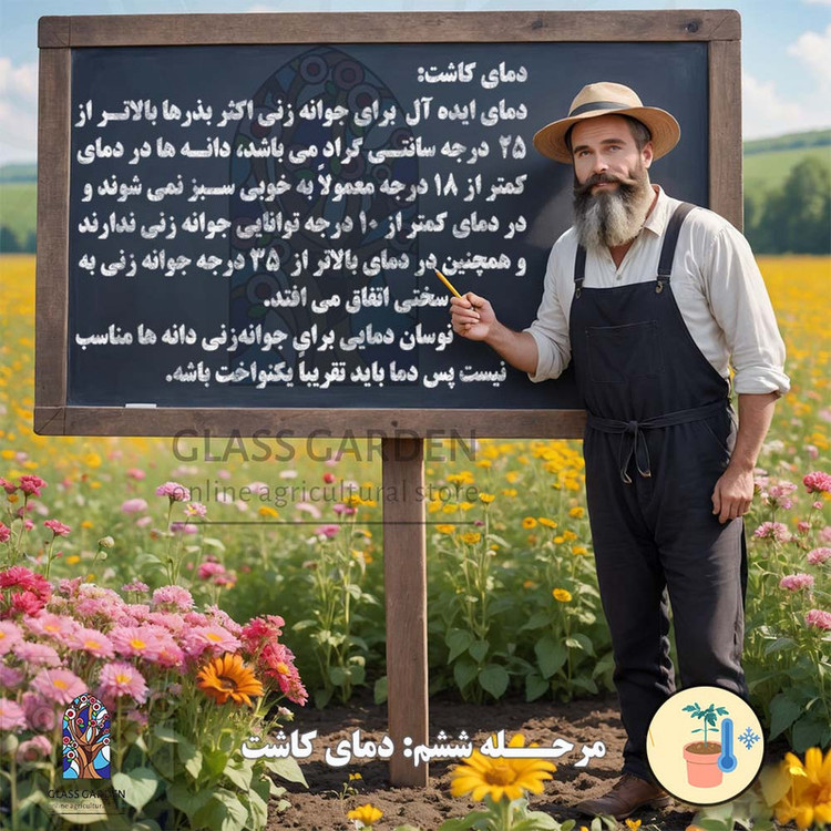 بذر فلفل قلمی قرمز تند ایرانی گلس گاردن مدل GL100
