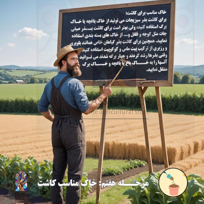 بذر کلم بروکسل دکمه ای گلس گاردن مدل GL25